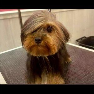 Meet your Posher, Drew